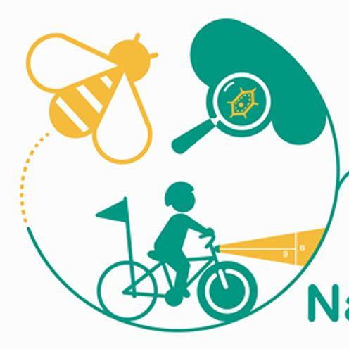 Anbieter-Logo/-Foto